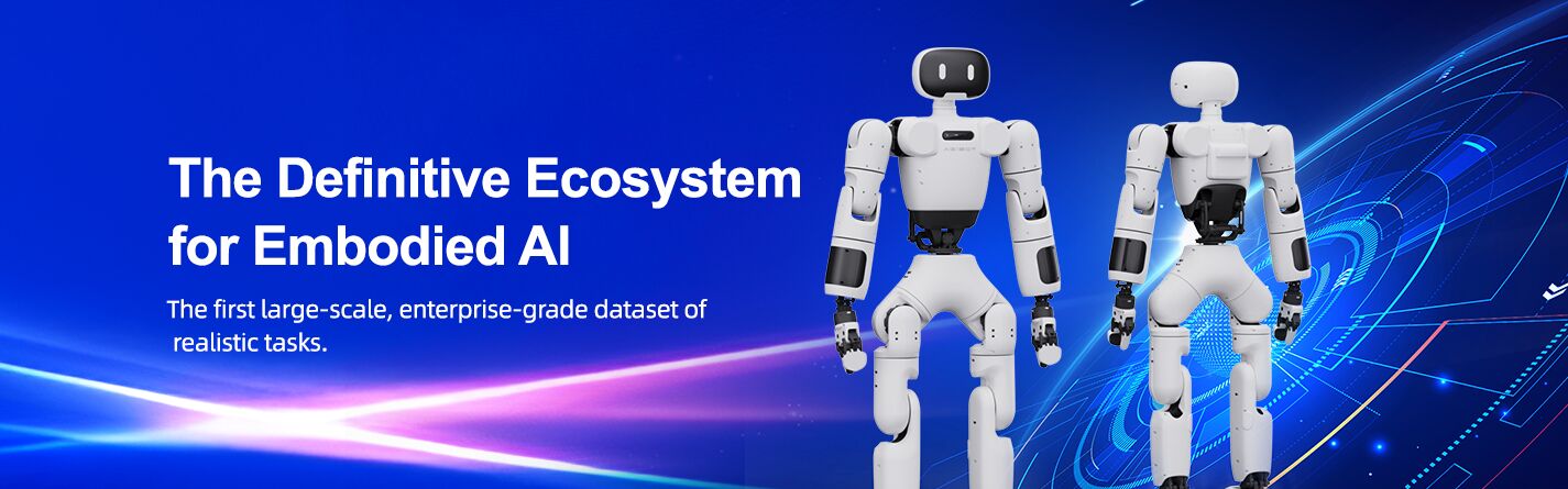 بطاقة شبكة ميلانوكس