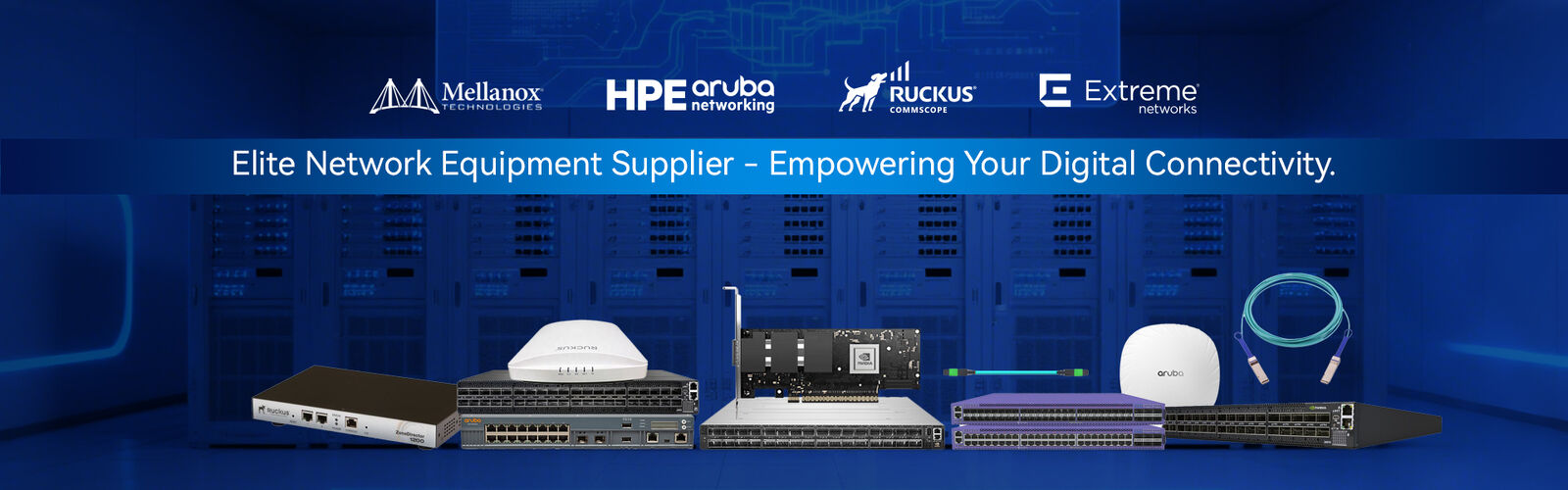 بطاقة شبكة ميلانوكس