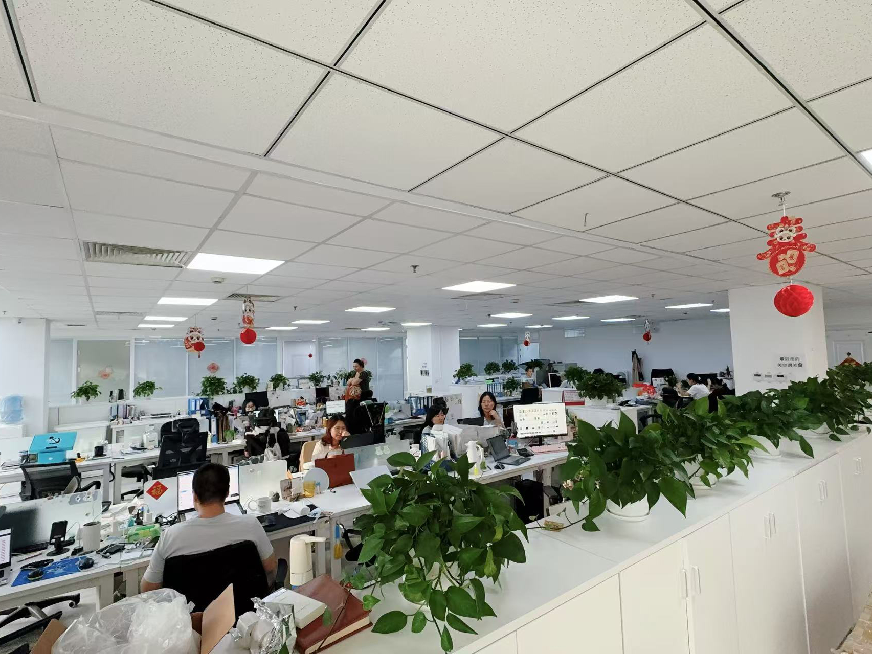 الصين Hong Kong Starsurge Group Co., Limited ملف الشركة