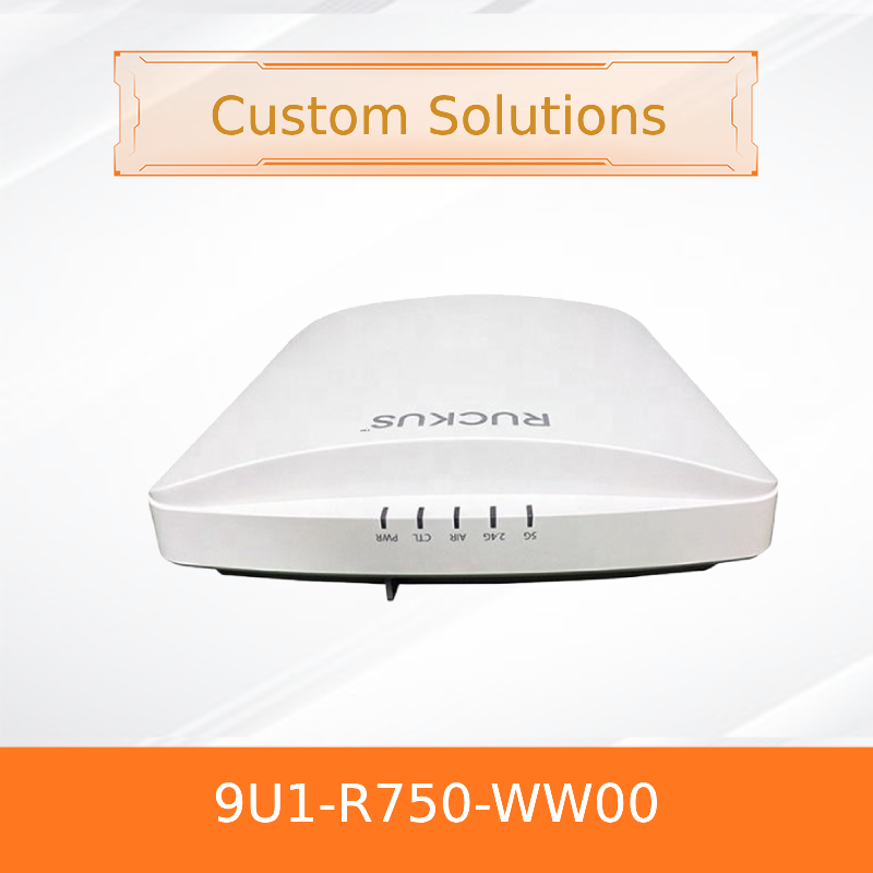 2.4G & 5G Ruckus Wireless Controller AP ZoneDirector 1200 1000Mbps