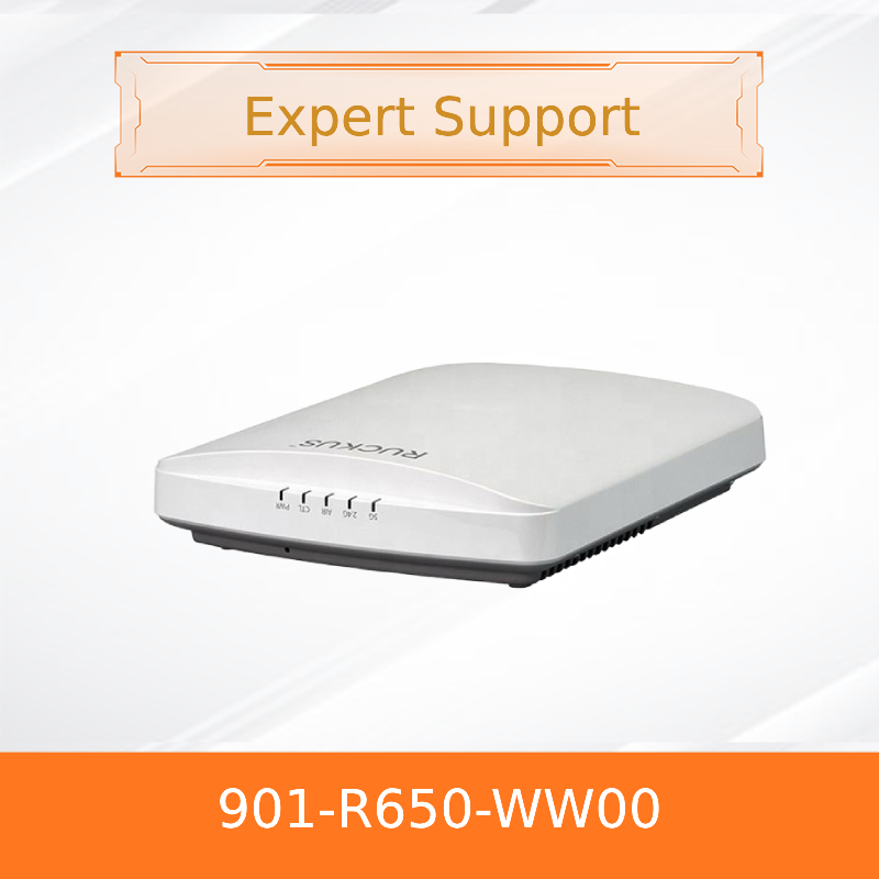 Network ZoneDirector 3000 Ruckus Wireless Controller ZD3050 AC3050 مرخص 100-250V